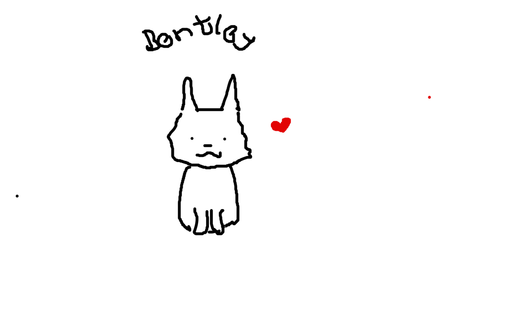 min hund bentley 