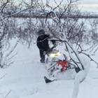 Skoter som kör bland snö och träd.
