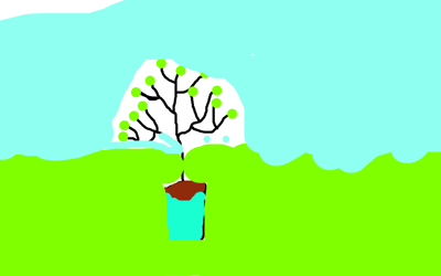 Ett litet, litet träd i en trädgård