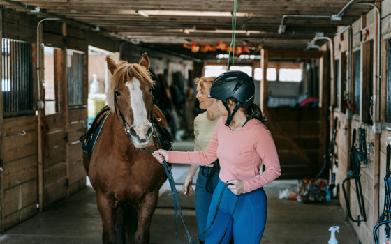 I stallet_category_3116_image