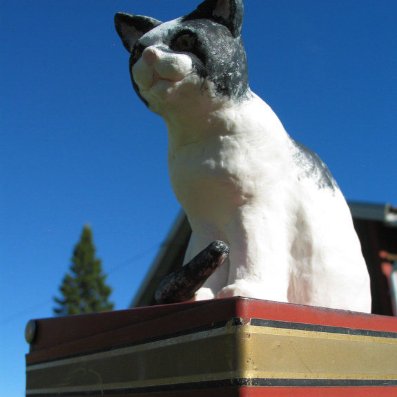 Katten sitter högt upp.