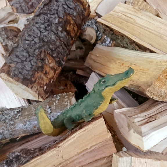 Krokodilen bland vedträn.