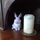 Kaninen sitter bredvid ett ljus.