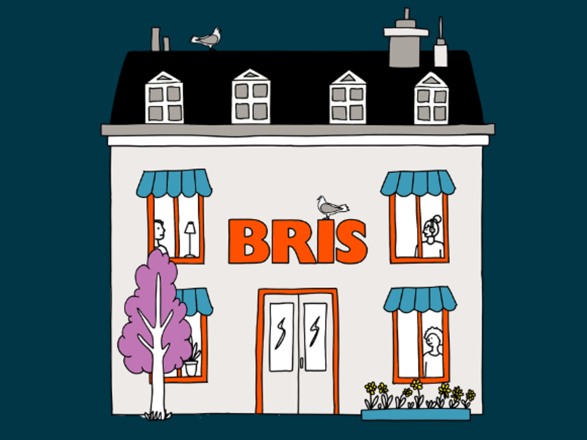 Bris.