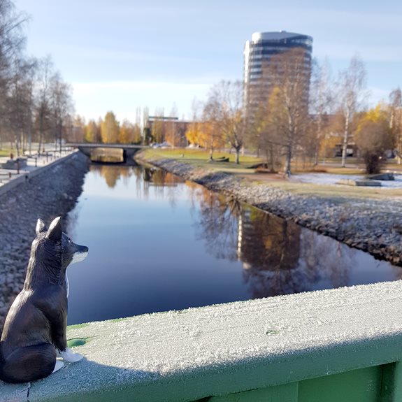 Hunden tittar på en å.