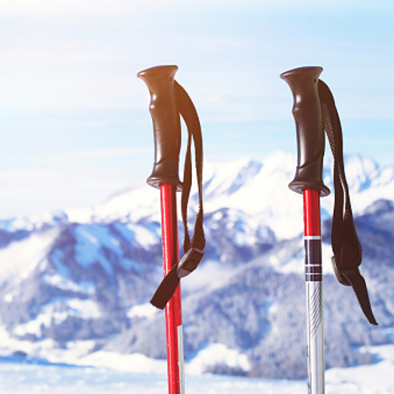 Stavar i förgrunden och berg i bakgrunden.