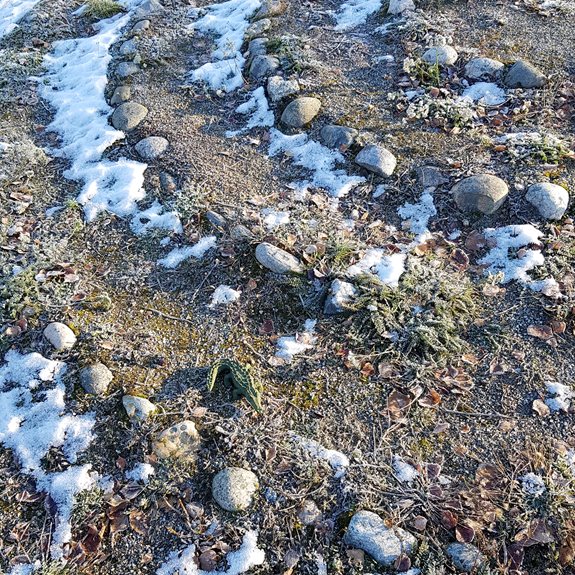 Krokodilen går i en stencirkel.