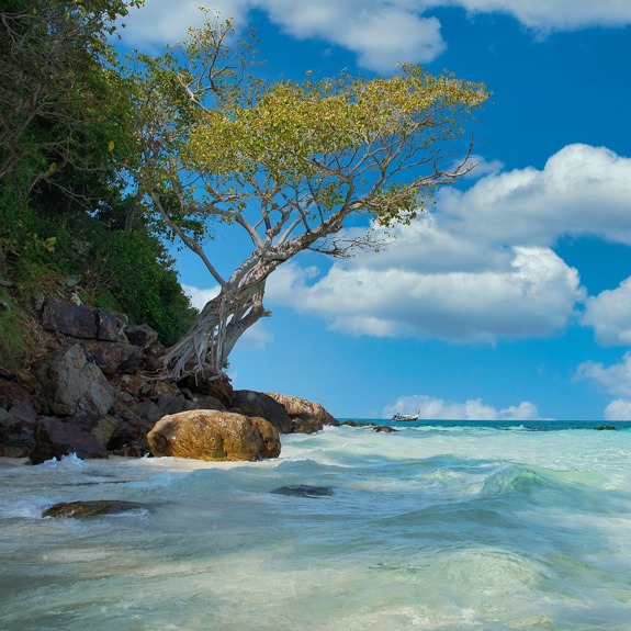 Stand med turkost vatten, träd och stenar på vänster sida.