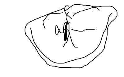 octar