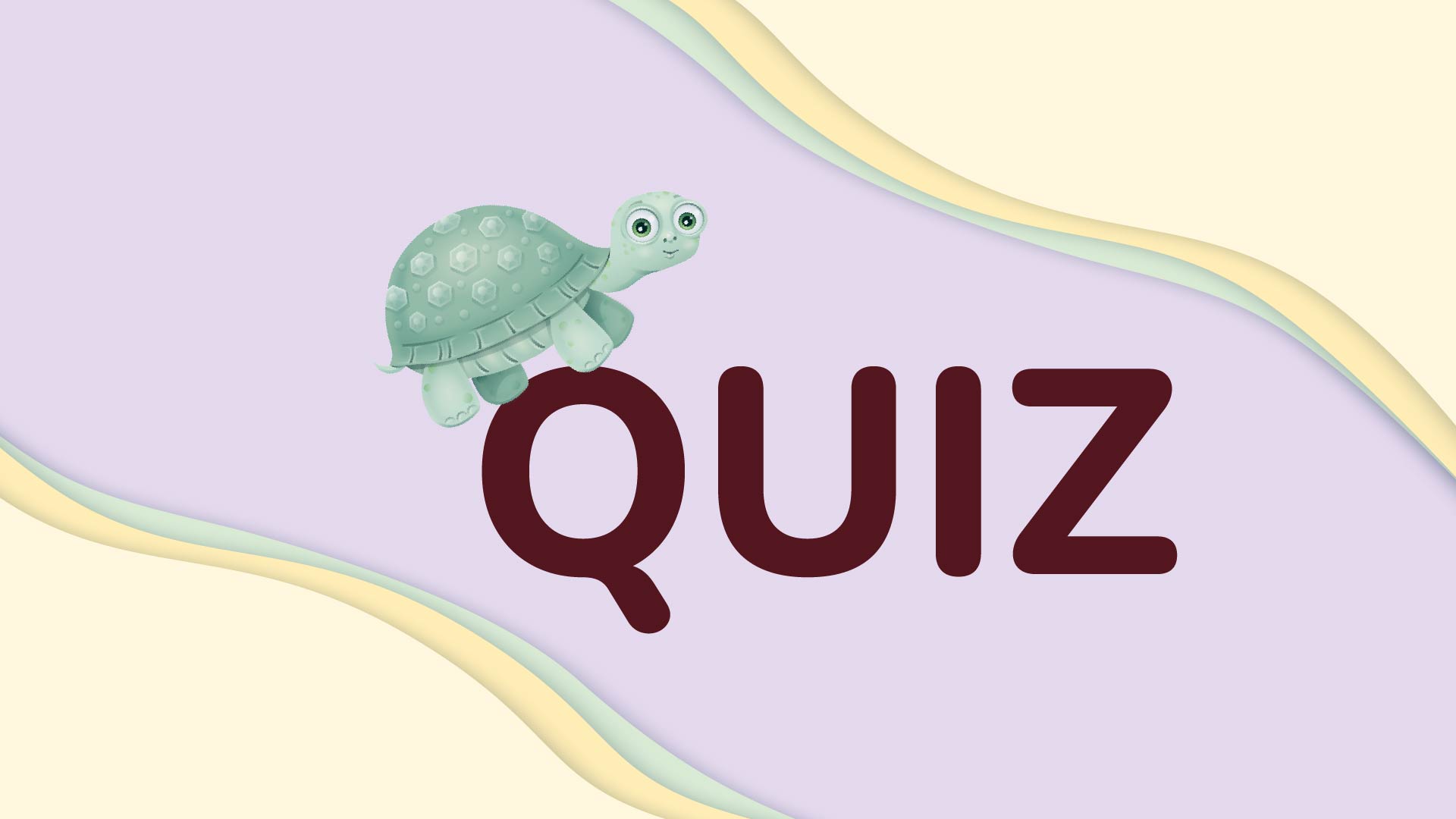 Sköldpaddan bredvid ordet quiz med lila bakgrund.