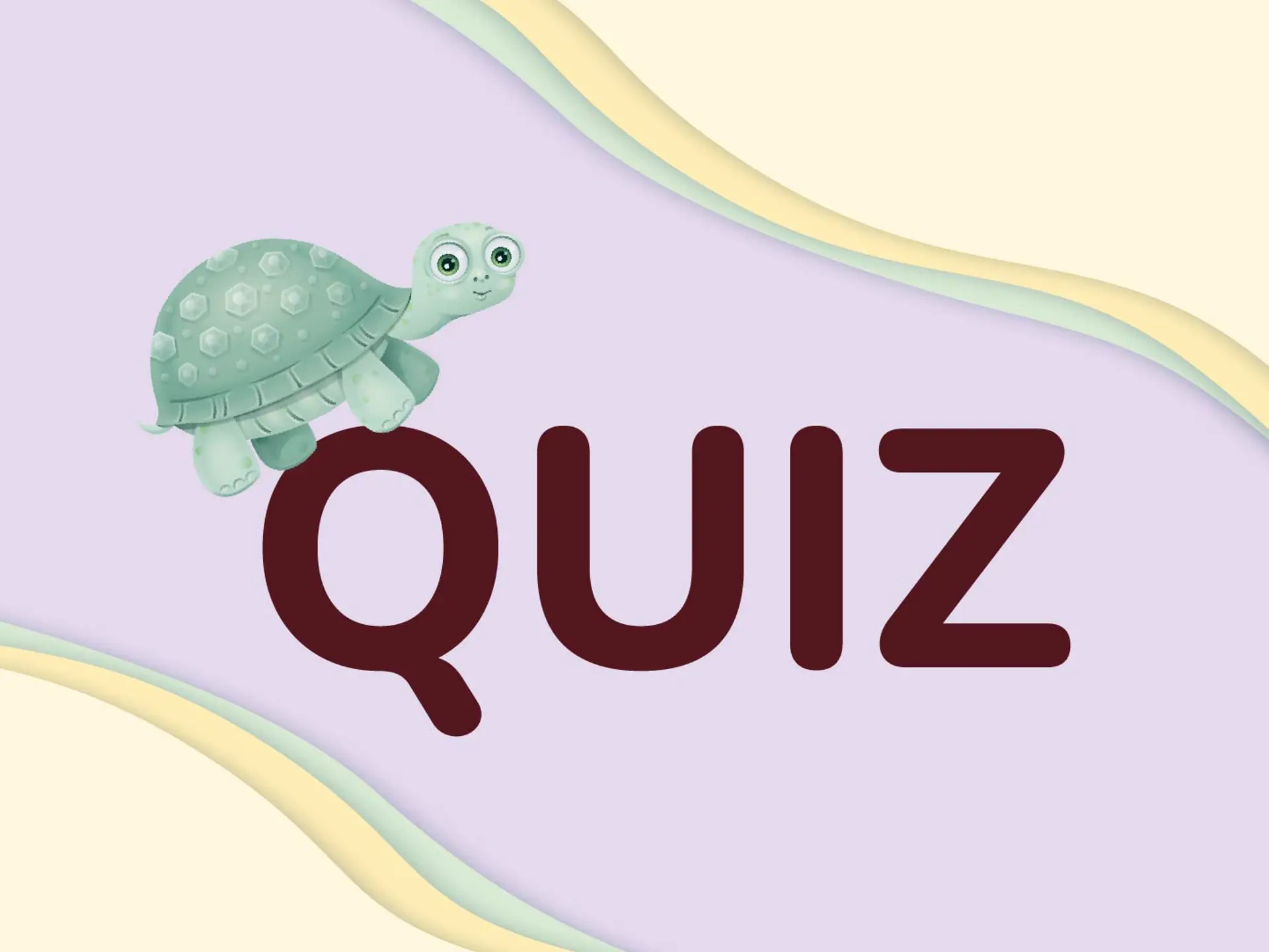 Sköldpaddan bredvid ordet quiz med lila bakgrund.