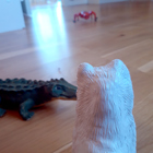 Fjällräven och Krokodilen träffar Spindeln.