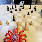 Katten och Spindeln spelar schack.