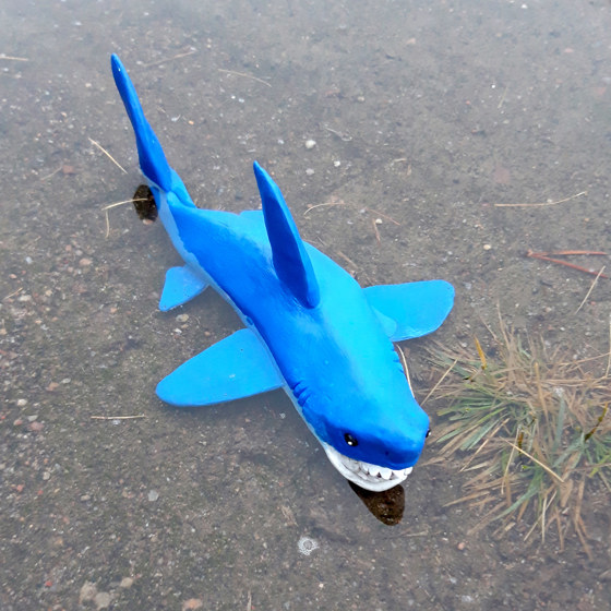 Hajen ligger i en vattenpöl.