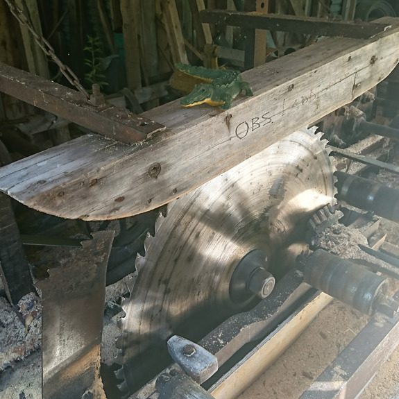 Krokodilen arbetar på ett sågverk.