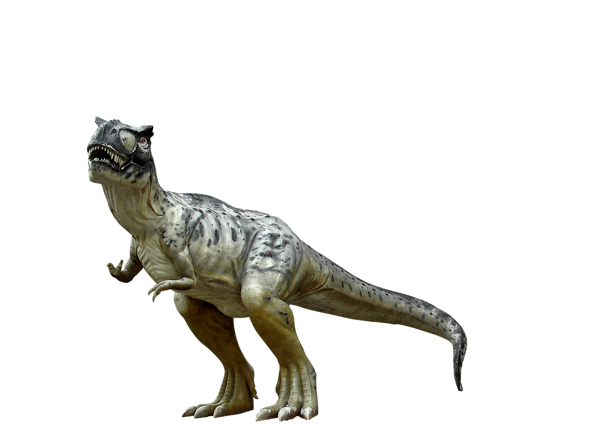 T-rex.
