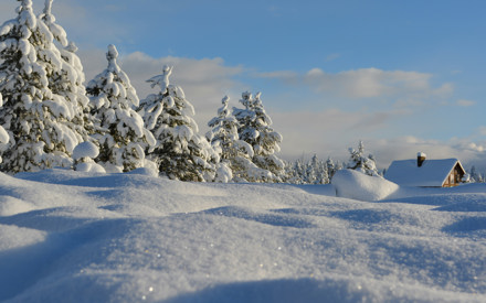 Vinter_category_7552_image