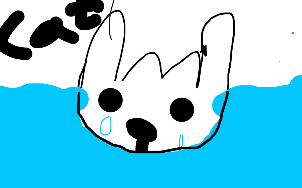 Cat (1)