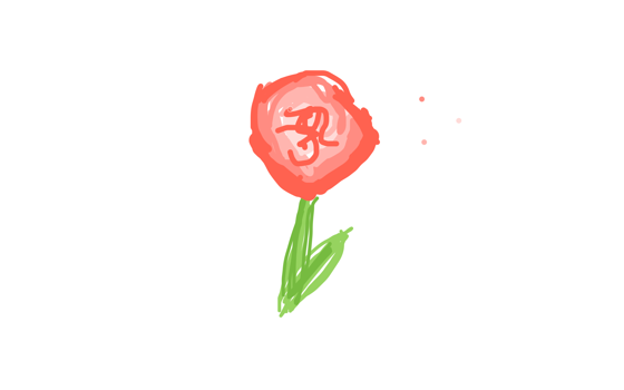 a pretty rose