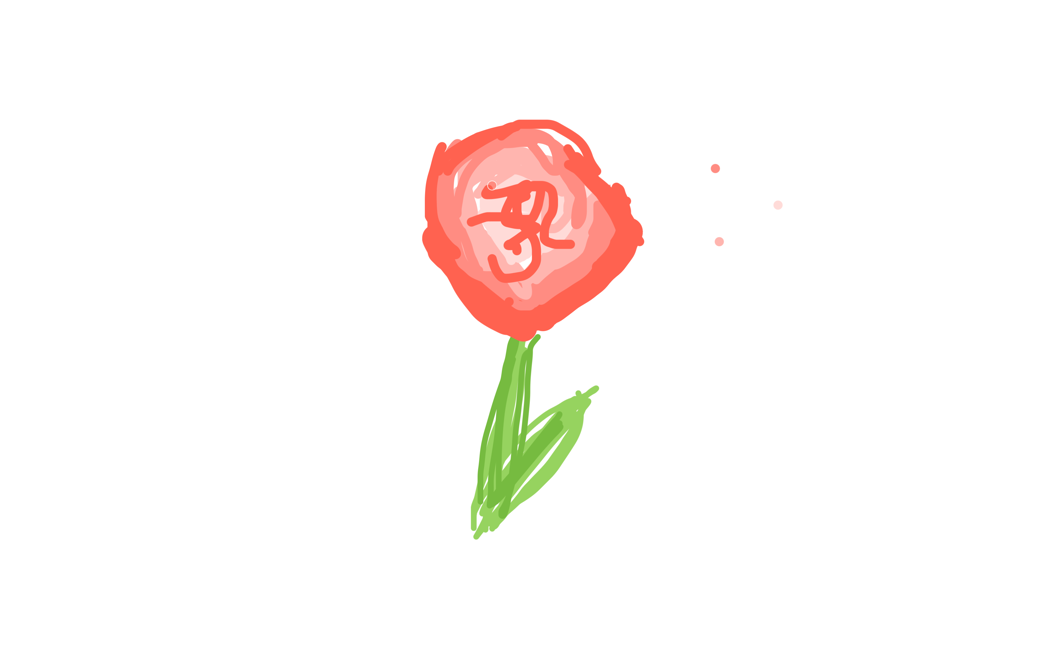 a pretty rose