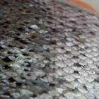 Fiskfjäll__category_14021_image