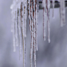 Flera istappar som hänger ner från ett tak.