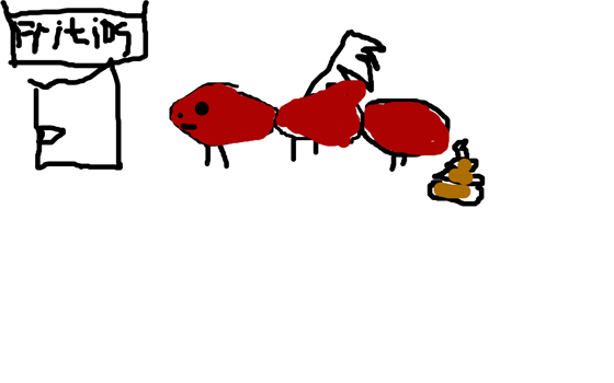 bajs myran