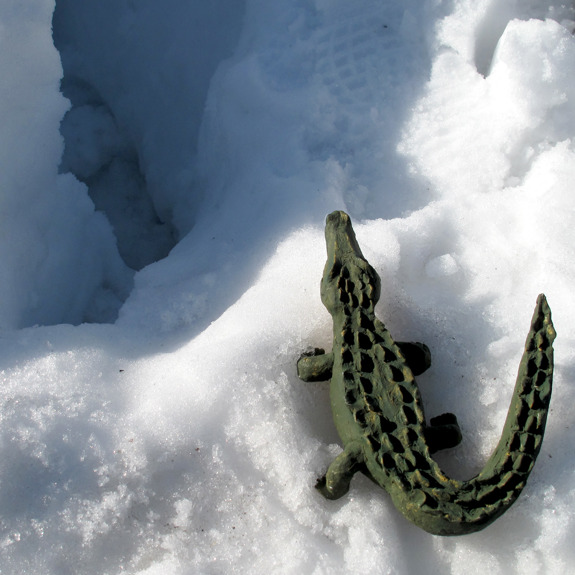 Krokodilen i snö.