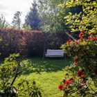 I trädgården_category_5091_image