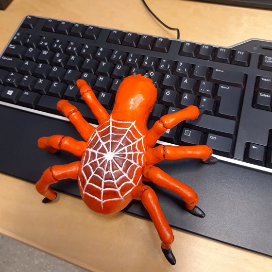 Spindeln skriver på ett tangentbord.